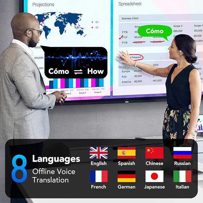 Offline voice translation languages